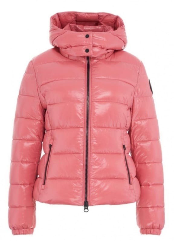 SAVE THE DUCK PIUMINO ANIMAL FREE CON CAPPUCCIO DONNA COSMARY ROSA