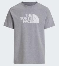 THE NORTH FACE T-shirt Evolution Half Dome Regular da uomo GRIGIA